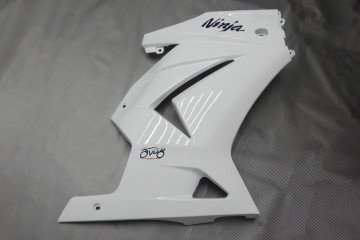 Komplette Motorradverkleidung KAWASAKI NINJA 250 R 2008 - 2012