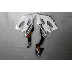 Komplette Motorradverkleidung KAWASAKI ZX10R 2008 - 2010