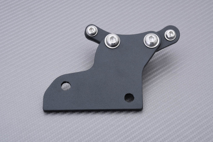 Support de plaque spécifique AVDB BMW R 1200 NINE-T 2014 - 2023