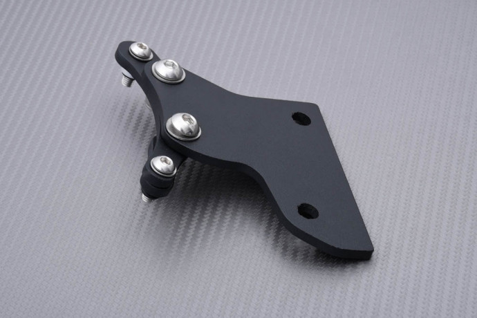 Support de plaque spécifique AVDB BMW R 1200 NINE-T 2014 - 2023