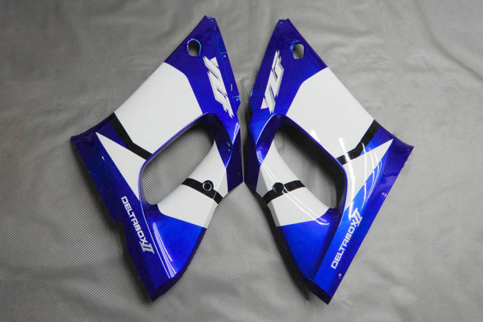 Carena completa YAMAHA YZF R6 1999 - 2002 Carena completa YAMAHA YZF R6 1999 - 2002