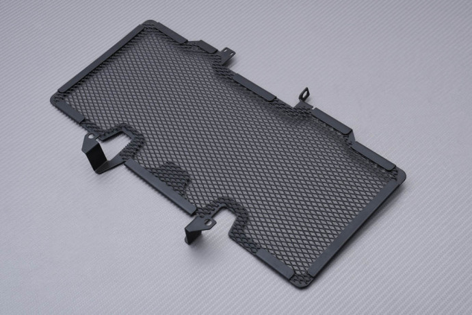 Grille de Radiateur BMW R1200R / R1200RS / R1250R / R1250RS 2014 - 2024 Grille de Radiateur BMW R1200R / R1200RS / R1250R / R1250RS 2014 - 2024
