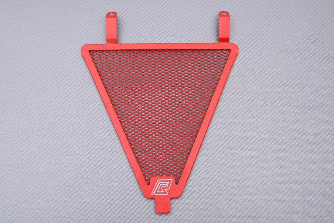 Kühlergrills- Abdeckung DUCATI PANIGALE 899 / 959 / 1199 / 1299 2012 - 2019