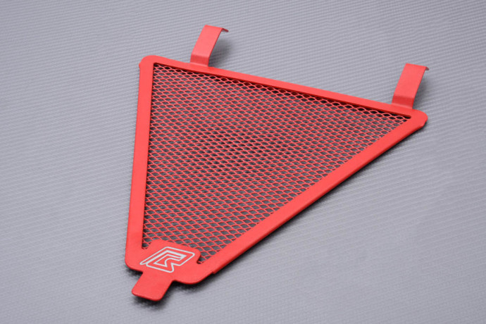 Kühlergrills- Abdeckung DUCATI PANIGALE 899 / 959 / 1199 / 1299 2012 - 2019