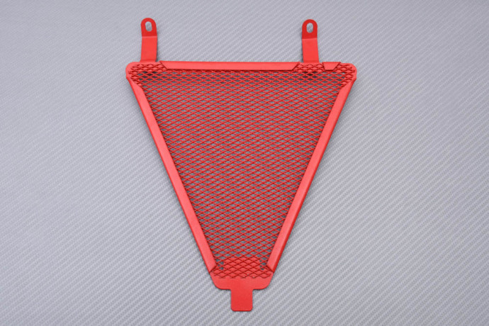 Kühlergrills- Abdeckung DUCATI PANIGALE 899 / 959 / 1199 / 1299 2012 - 2019