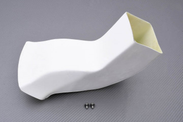 RACING-Spinne + Ram Air YAMAHA YZF R1 / R1M 2015 - 2019