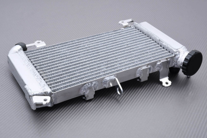 Kühler HONDA CB 500 X 2019 - 2023 Kühler HONDA CB 500 X 2019 - 2023