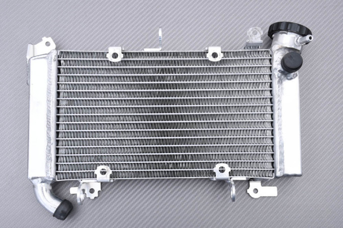 Kühler HONDA CB 500 X 2019 - 2023 Kühler HONDA CB 500 X 2019 - 2023