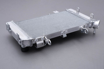 Radiador SUZUKI VSTROM DL 650 2012 - 2024