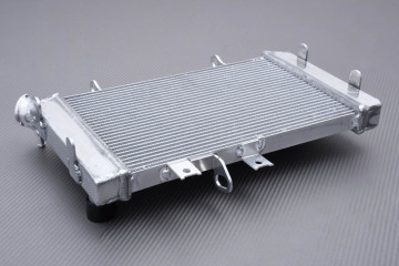 Radiador SUZUKI VSTROM DL 650 2012 - 2024