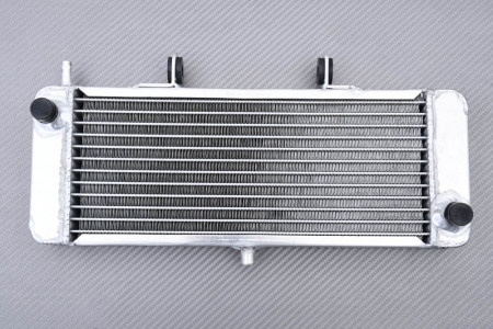Radiateur APRILIA RS 50 / DERBI GPR 50 2004 - 2010