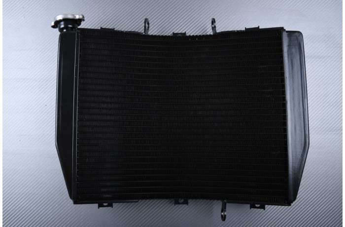Radiateur KAWASAKI ZX6R 1998 - 1999 Radiateur KAWASAKI ZX6R 1998 - 1999