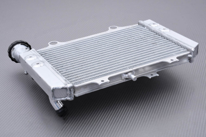 Kühler BMW G310R / G310GS 2021 - 2024 Kühler BMW G310R / G310GS 2021 - 2024