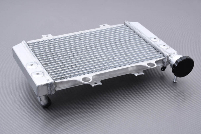 Radiador BMW G310R / G310GS 2021 - 2024