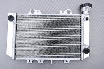Radiador BMW G310R / G310GS 2021 - 2024