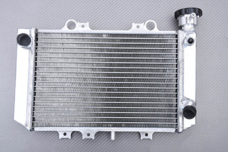Radiador BMW G310R / G310GS 2021 - 2024