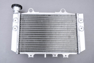 Radiateur TVS APACHE 310 RR 2019 - 2022