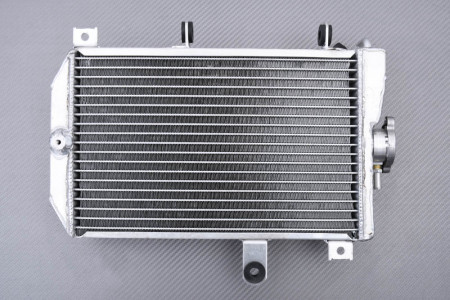 Radiateur SUZUKI BURGMAN 650 2013 - 2018