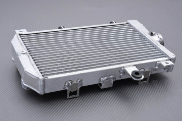 Radiateur SUZUKI BURGMAN 650 2013 - 2018 Radiateur SUZUKI BURGMAN 650 2013 - 2018