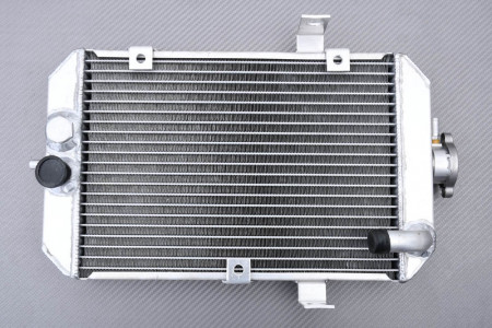 Radiatore YAMAHA RAPTOR YFM 660 2001 - 2005