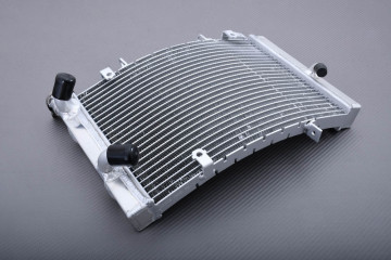 Radiateur TRIUMPH STREET TRIPLE 675 / R 2007 - 2012