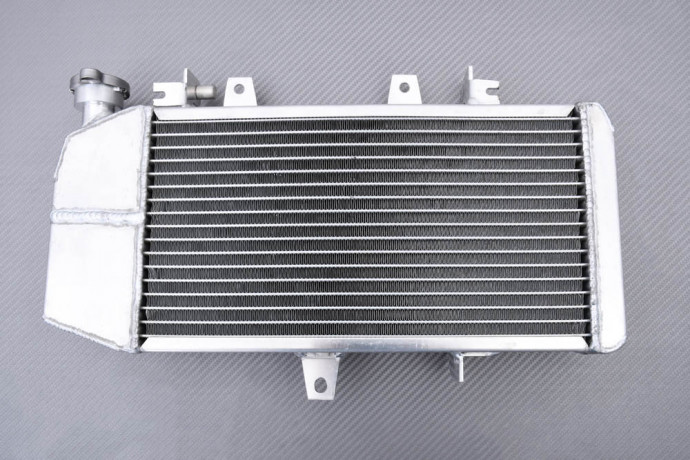 Radiateur BMW F650GS / F700GS / F800ST / F800S / F800R / F800GT / F800GS 2006 - 2019 Radiateur BMW F650GS / F700GS / F800ST / F800S / F800R / F800GT / F800GS 2006 - 2019