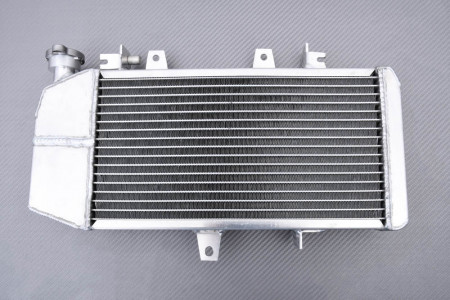 Radiateur BMW F650GS / F700GS / F800ST / F800S / F800R / F800GT / F800GS 2006 - 2019