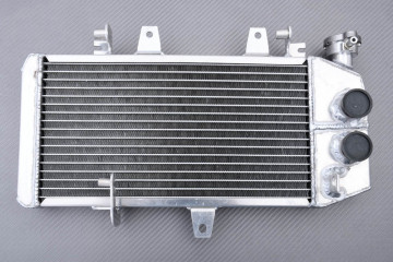 Radiador BMW F650GS / F700GS / F800ST / F800S / F800R / F800GT / F800GS 2006 - 2019