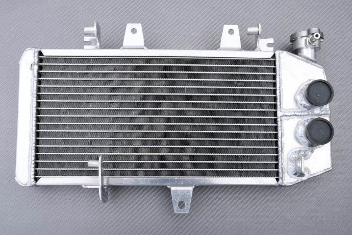 Radiator BMW F650GS / F700GS / F800ST / F800S / F800R / F800GT / F800GS 2006 - 2019
