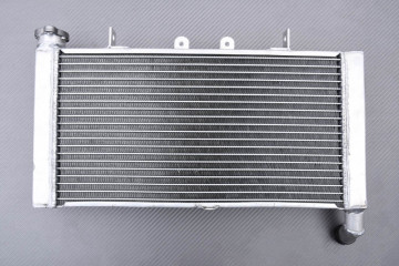 Radiador HONDA CBR 600 F / F2 1991 - 1994