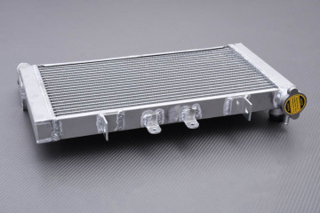 Radiador HONDA CBR 600 F / F2 1991 - 1994 Radiador HONDA CBR 600 F / F2 1991 - 1994