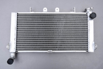 Radiador HONDA CBR 600 F / F2 1991 - 1994 Radiador HONDA CBR 600 F / F2 1991 - 1994