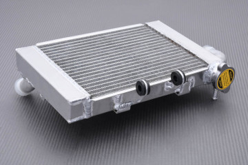 Radiator BENELLI TNT 300 / BN 302 / 302 S / STELS / Keeway RKX Radiator BENELLI TNT 300 / BN 302 / 302 S / STELS / Keeway RKX