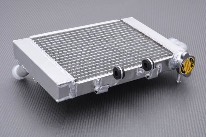 Radiateur BENELLI TNT 300 / BN 302 / 302 S / STELS / Keeway RKX Radiateur BENELLI TNT 300 / BN 302 / 302 S / STELS / Keeway RKX