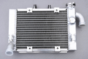 Radiator BENELLI TNT 300 / BN 302 / 302 S / STELS / Keeway RKX