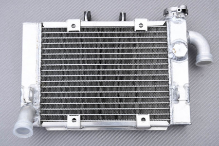 Radiateur BENELLI TNT 300 / BN 302 / 302 S / STELS / Keeway RKX