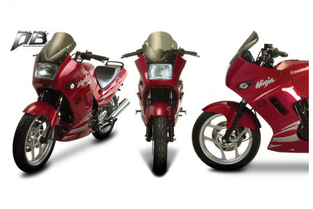 Cupolino ZERO GRAVITY per KAWASAKI NINJA / EX 250 R 1987 - 2005