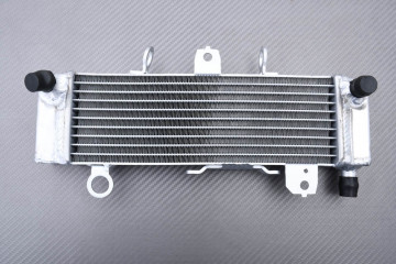 Radiator HONDA CB125R / CB150R 2018 - 2024