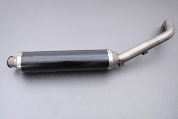 Echappement AKRAPOVIC / SLIP-ON LINE Carbone HONDA HORNET CB 600 F / S 1998 - 2002
