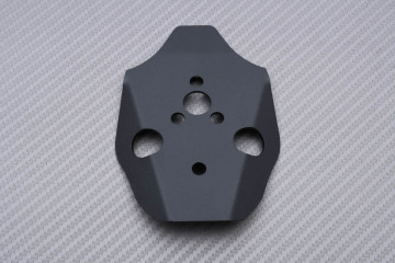 Spezifischer Kennzeichenhalter AVDB DUCATI PANIGALE V2 / V4 / S / SP / R 2018 - 2023 Spezifischer Kennzeichenhalter AVDB DUCATI PANIGALE V2 / V4 / S / SP / R 2018 - 2023