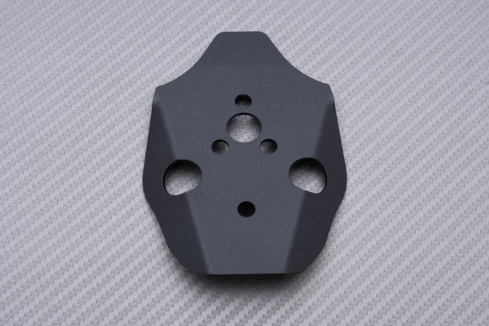 Spezifischer Kennzeichenhalter AVDB DUCATI STREETFIGHTER V2 / V4 2020 - 2023 Spezifischer Kennzeichenhalter AVDB DUCATI STREETFIGHTER V2 / V4 2020 - 2023