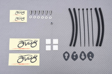 Support de plaque spécifique AVDB DUCATI STREETFIGHTER V2 / V4 2020 - 2023