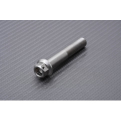 Titanium / Stainless Steel Radial Calipers Bolt for DUCATI M10 X P1.25 X 60 MM