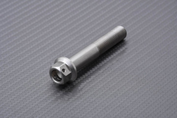 Tornillería para pinzas de freno radiales de titanio / acero inoxidable para KAWASAKI M10 X P1.25 X 60 MM