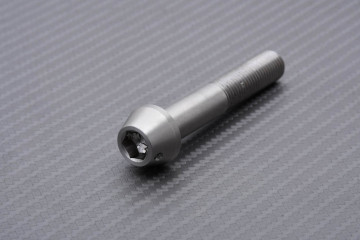 Vis d'étriers de Frein Radiaux en Titane / Inox pour SUZUKI M10 X P1.25 X 60 MM