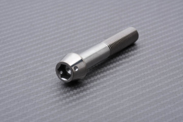 Vis d'étriers de Frein Radiaux en Titane / Inox pour TRIUMPH M10 X P1.25 X 60 MM