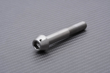 Vite per pinza freno radiale Titanio / Acciaio Inox per SUZUKI M10 X P1.25 X 70 MM
