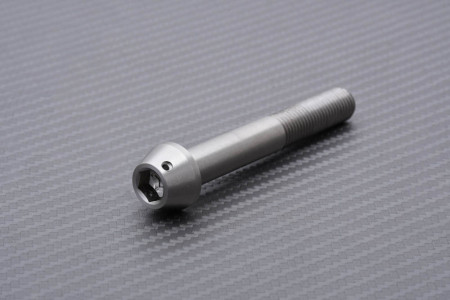 Vis d'étriers de Frein Radiaux en Titane / Inox pour SUZUKI M10 X P1.25 X 70 MM