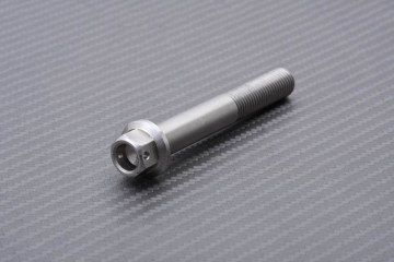 Schrauben und Muttern für Radialbremssättel aus Titan / Edelstahl für SUZUKI M10 X P1.25 X 70 MM
