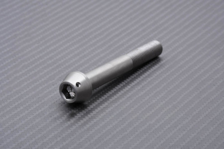 Schrauben und Muttern für Radialbremssättel aus Titan / Edelstahl für KAWASAKI M10 X P1.25 X 75 MM